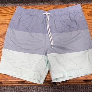 Goodfellow & Co Men's Gray and Light Green Swim Shorts
